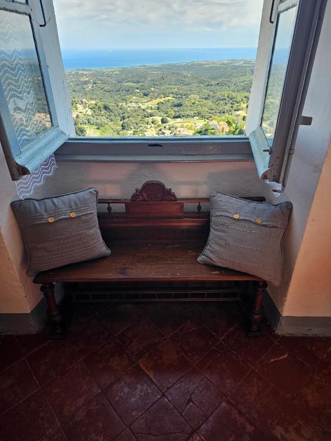 Palazzu Massoni, Magnifique Vue Sur La Mer Et La Montagne, Clim, Wifi, Parking Gratuit Cervione Zewnętrze zdjęcie