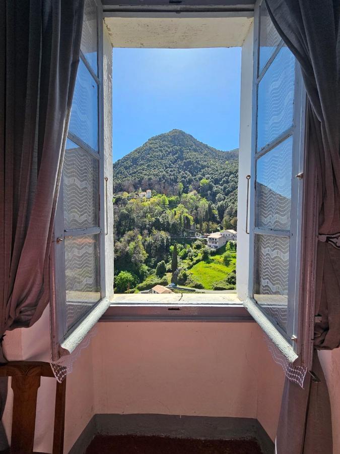 Palazzu Massoni, Magnifique Vue Sur La Mer Et La Montagne, Clim, Wifi, Parking Gratuit Cervione Zewnętrze zdjęcie