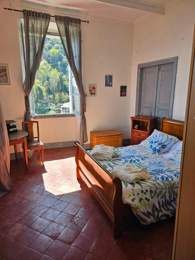 Palazzu Massoni, Magnifique Vue Sur La Mer Et La Montagne, Clim, Wifi, Parking Gratuit Cervione Zewnętrze zdjęcie