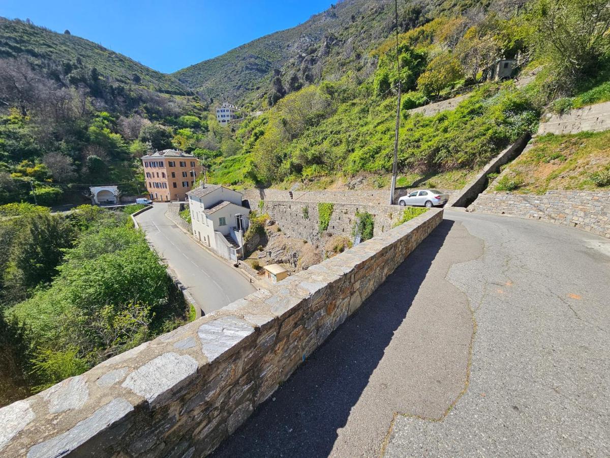 Palazzu Massoni, Magnifique Vue Sur La Mer Et La Montagne, Clim, Wifi, Parking Gratuit Cervione Zewnętrze zdjęcie