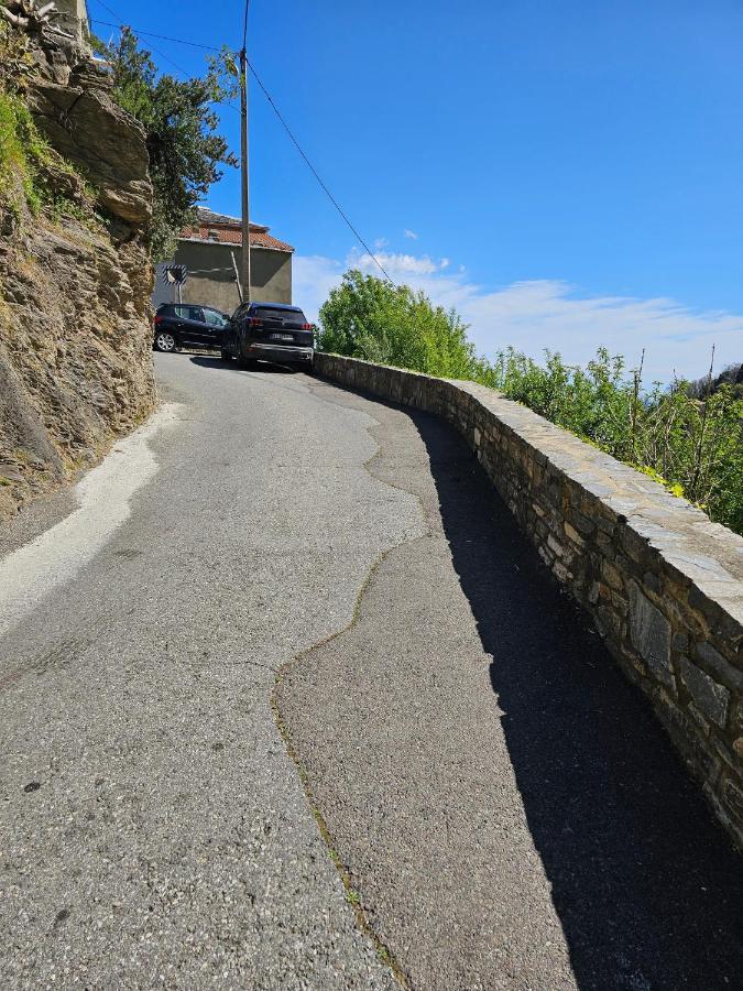 Palazzu Massoni, Magnifique Vue Sur La Mer Et La Montagne, Clim, Wifi, Parking Gratuit Cervione Zewnętrze zdjęcie